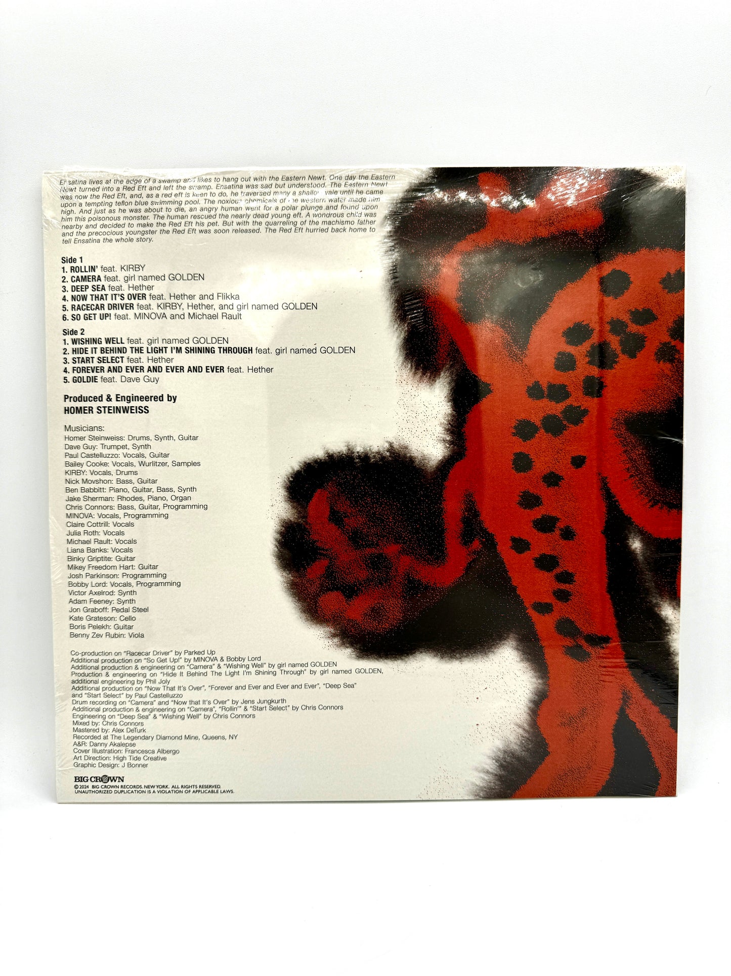 Homer "Ensatina" New (11/2024) Vireo Vinyl Pick