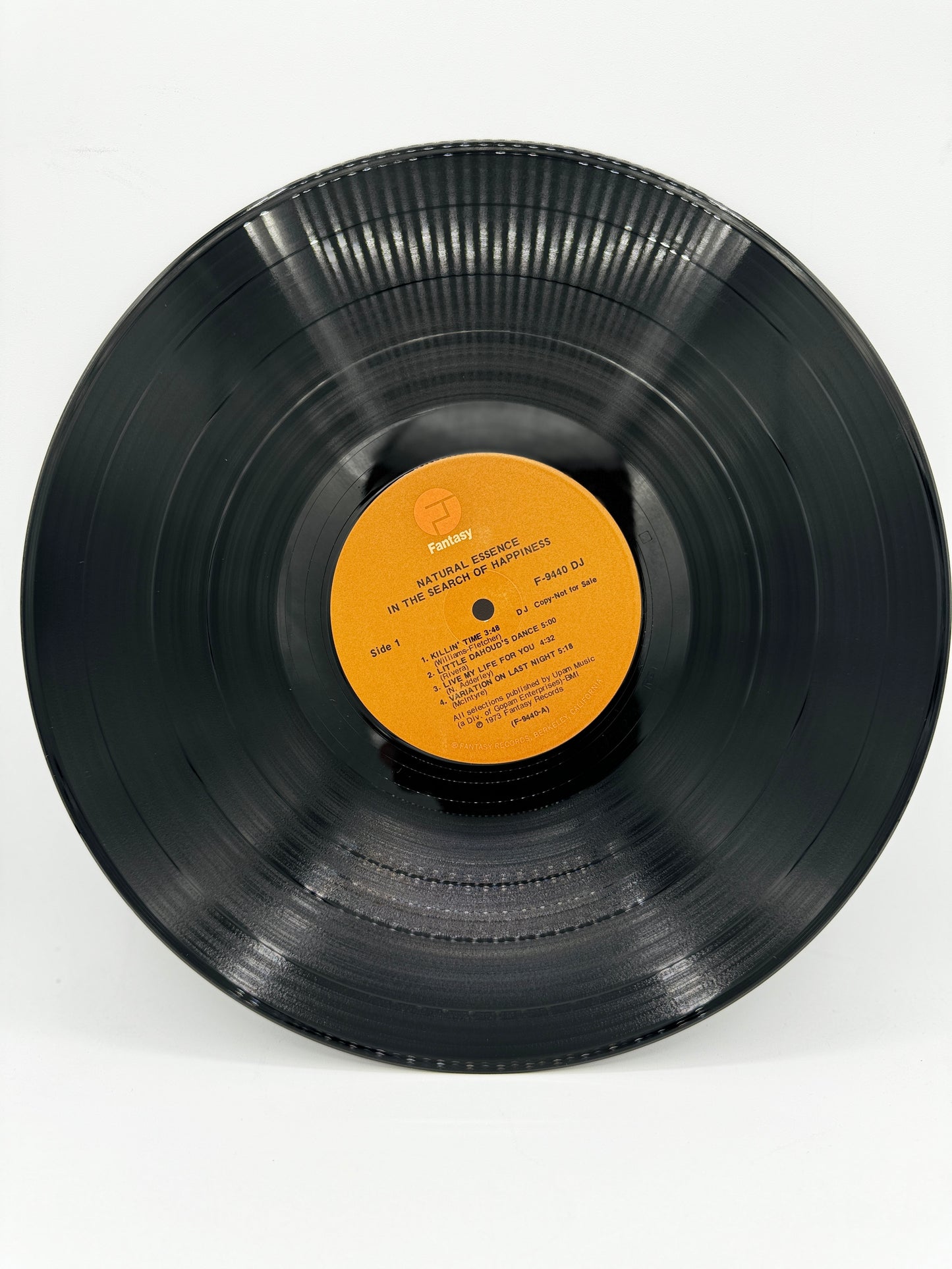 Natural Essence "In Search of Happiness" F9440DJ VG+/VG+ 1973 Original Promo